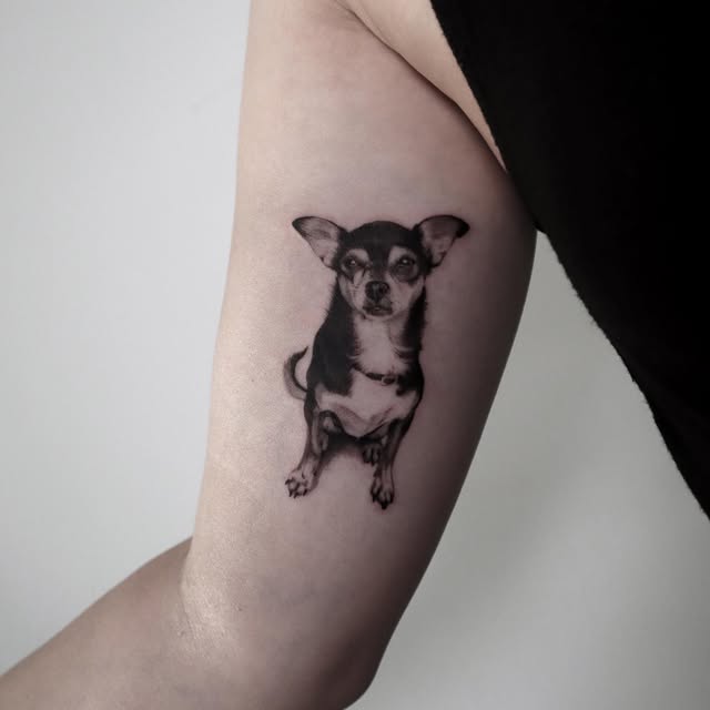 kate_sv_art