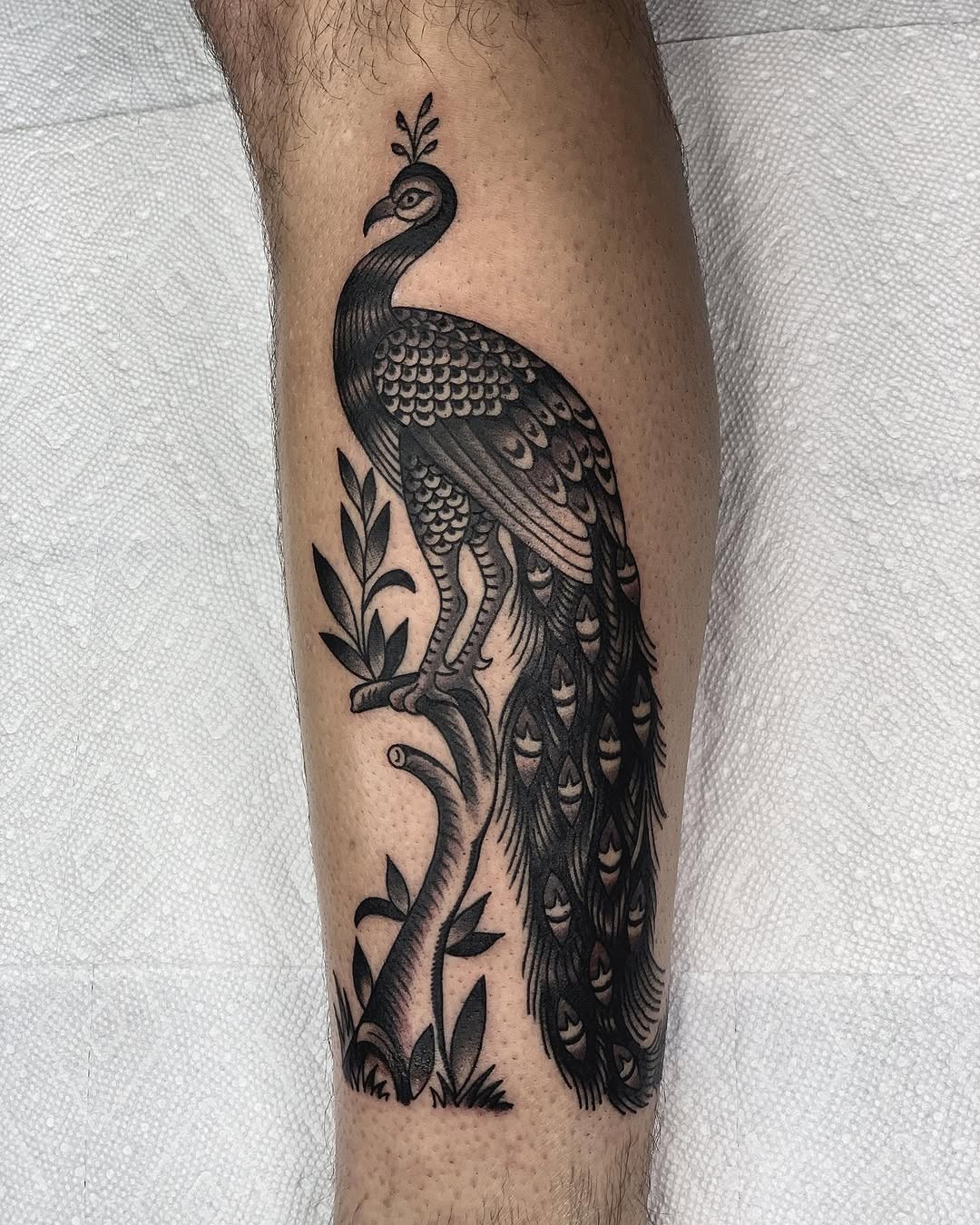 Javier Betancourt