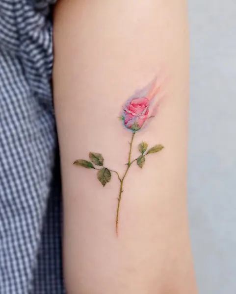 Flower, 아이리스, 백합, 난초, 튤립