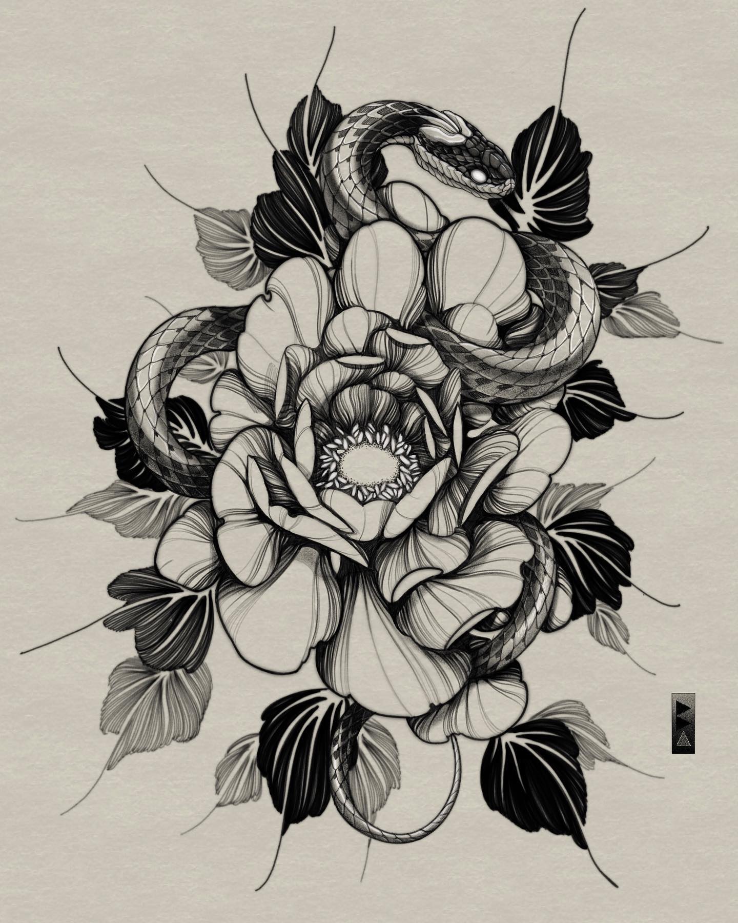 Flower, Nature, Rose