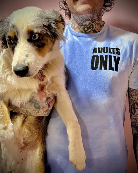 joshbovendertattoo
