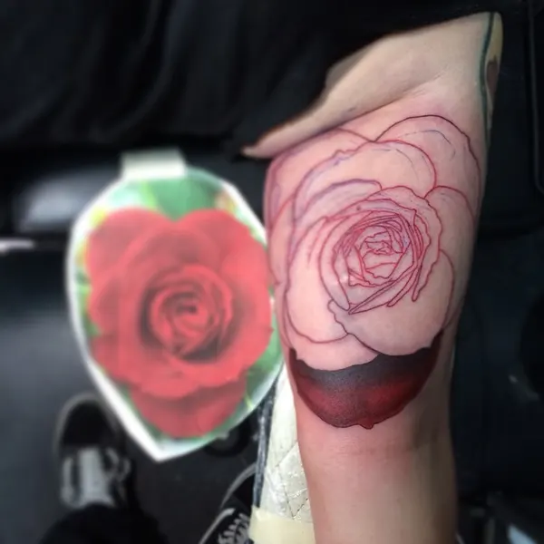 Flower, Rose