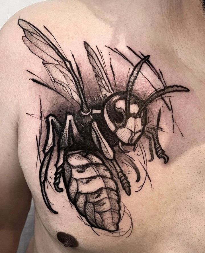 Animal