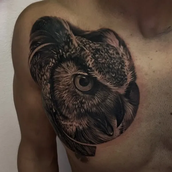 Owen Paulls