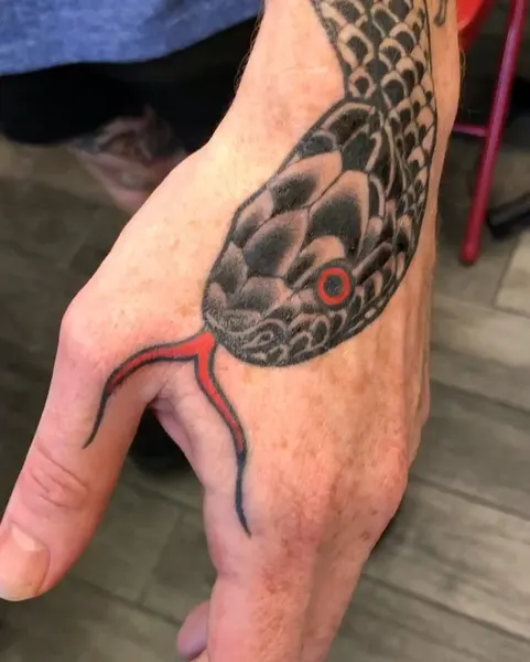 Dragon, 거북이, Snake