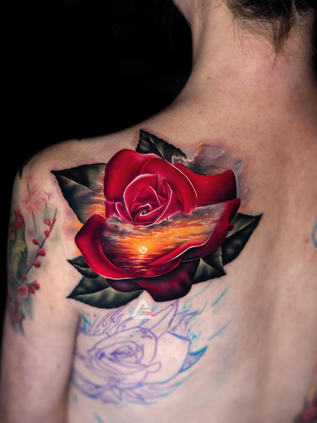 Flower, Rose, Nature