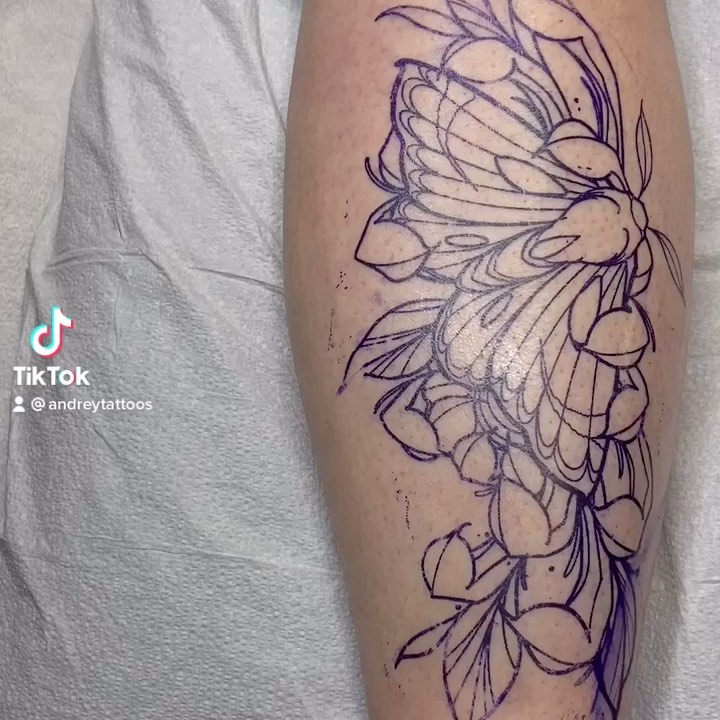 Animal, Nature, Flower
