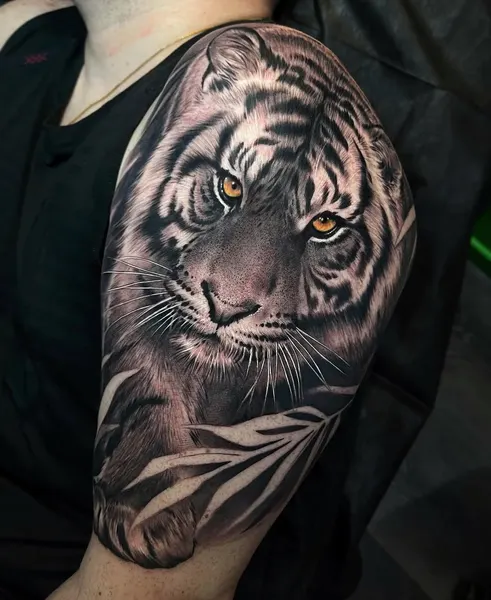 Tiger