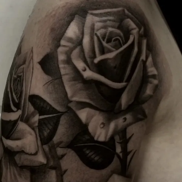 Flower, Rose