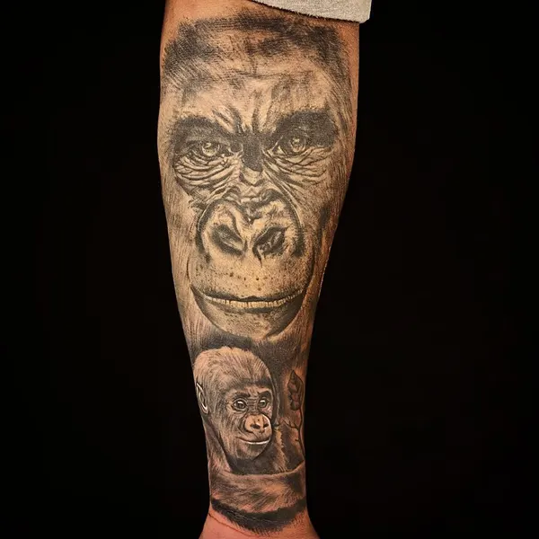 Tiger, Animal