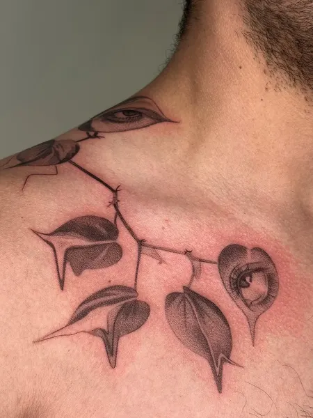 Flower, Rose, Nature