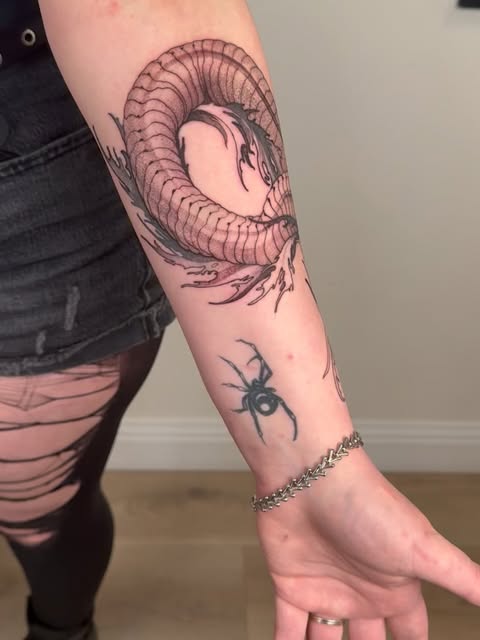Dragon