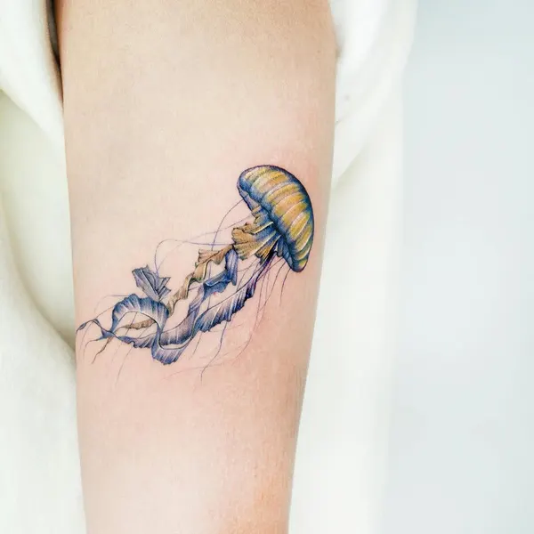 Nature, 문어, 조개, 랍스터, 오징어, 해파리, 전갈자리, 전갈, 해마, 크라켄