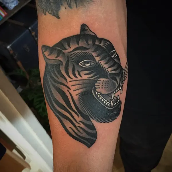 Tiger, Animal