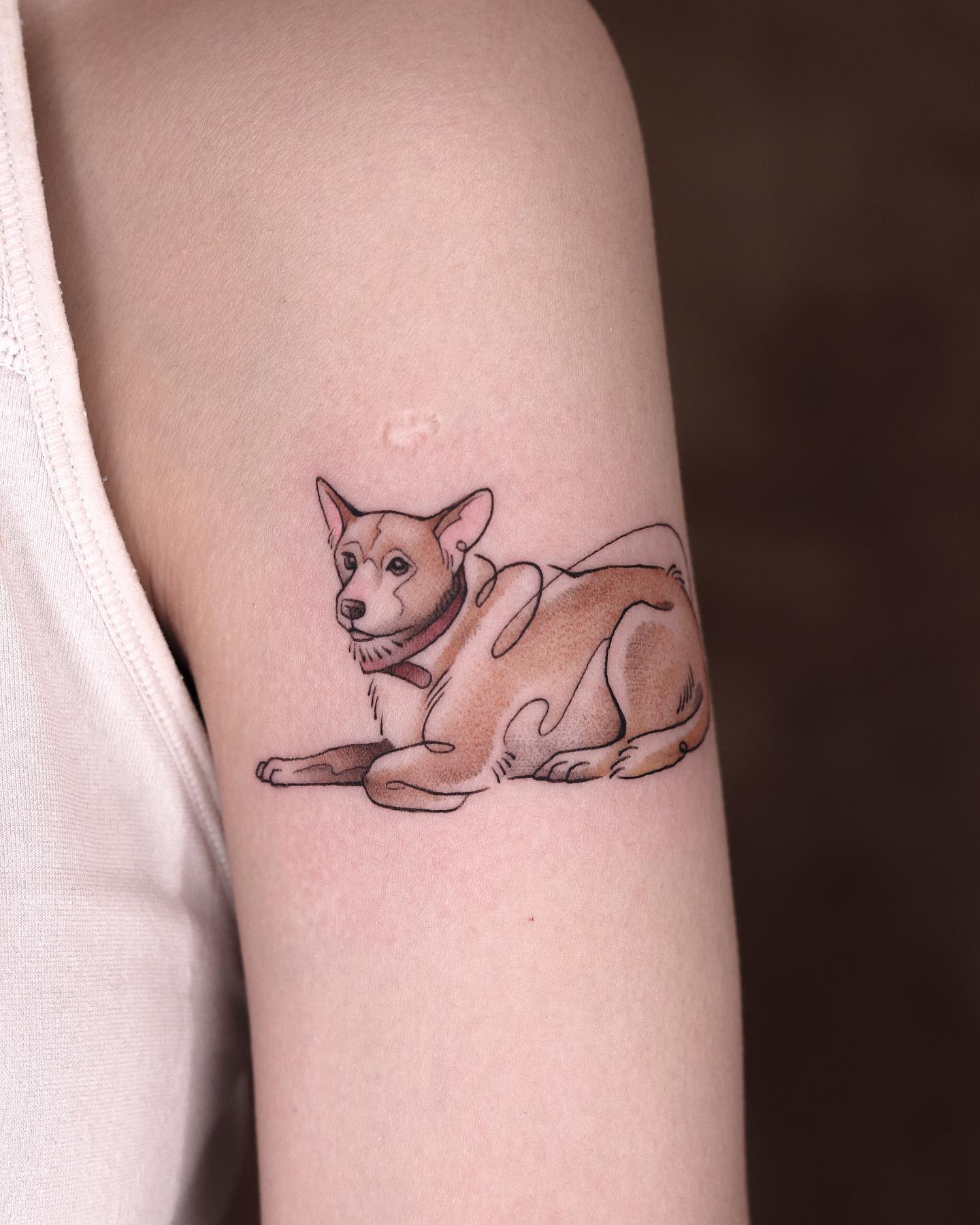 fawn.ink