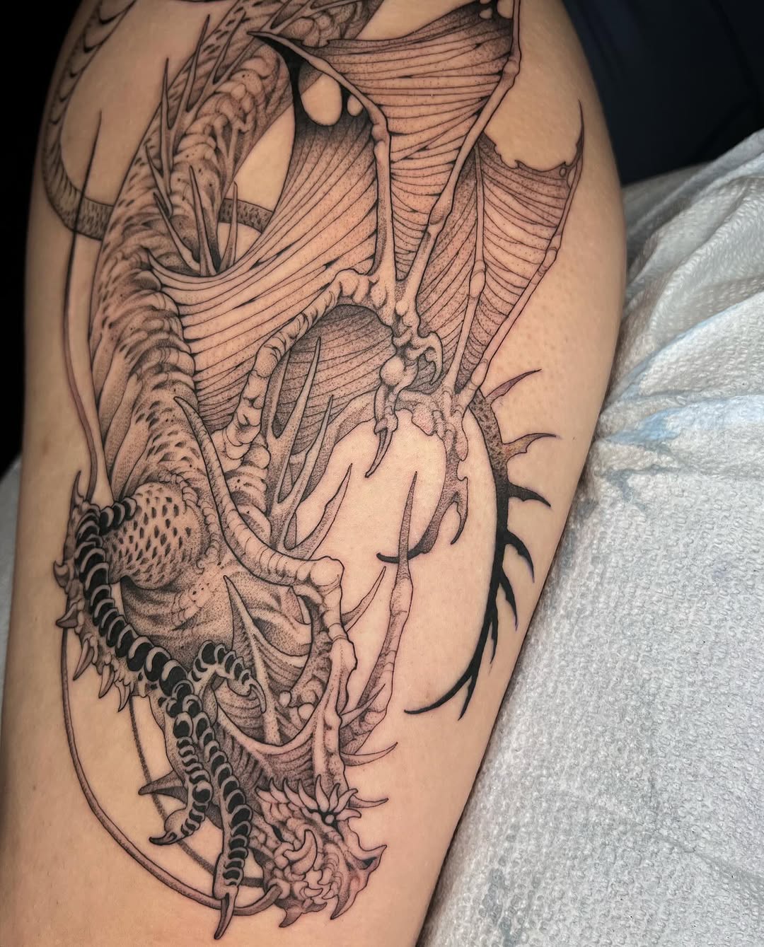Dragon
