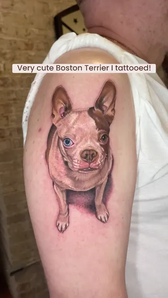 Animal