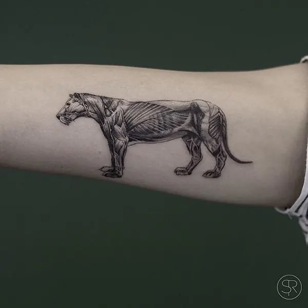 Animal, Tiger, Dragon