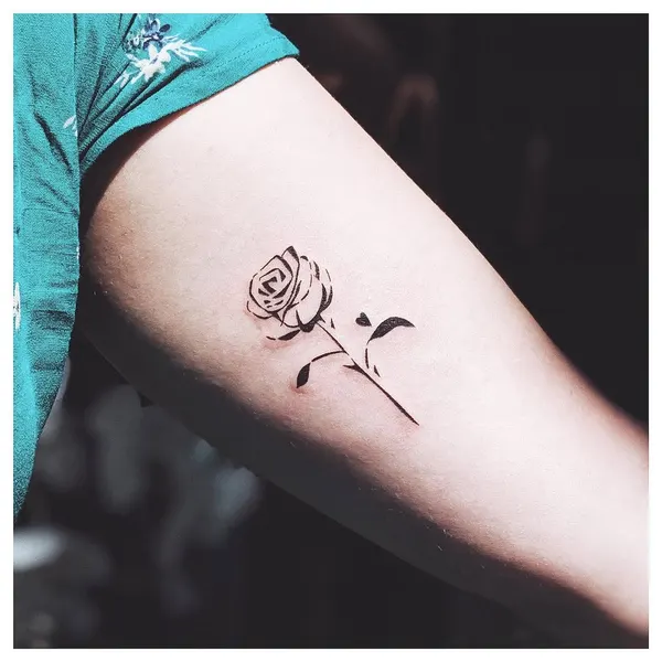 Flower, Rose