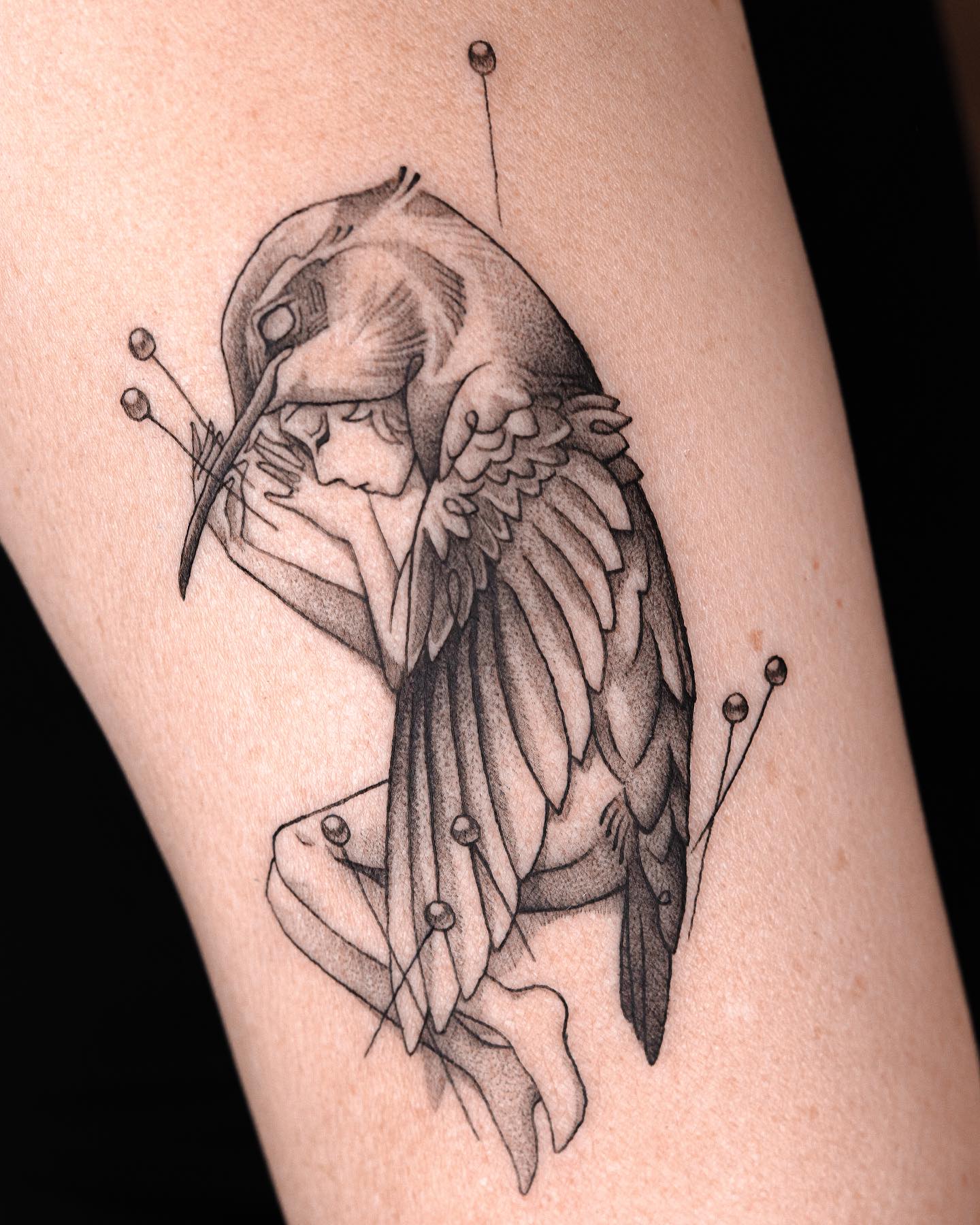 fawn.ink