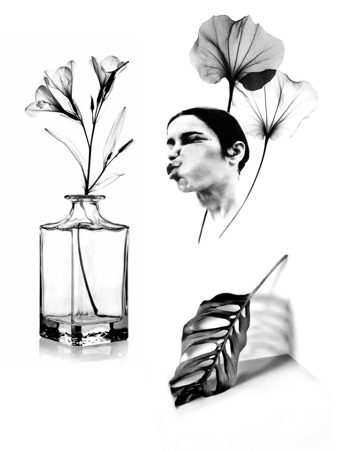 plantsnpokes
