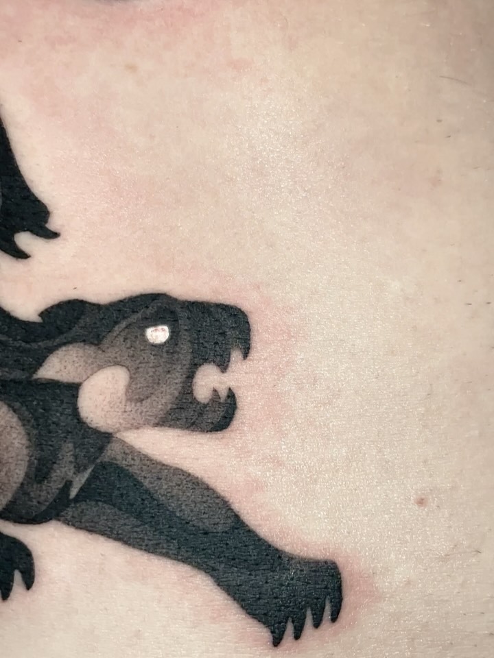 Dragon