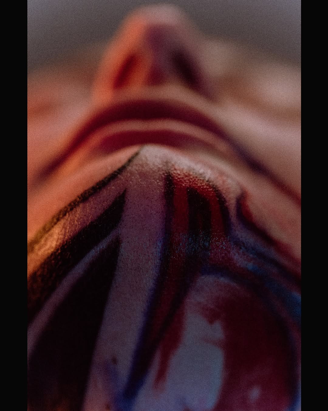 fibs_