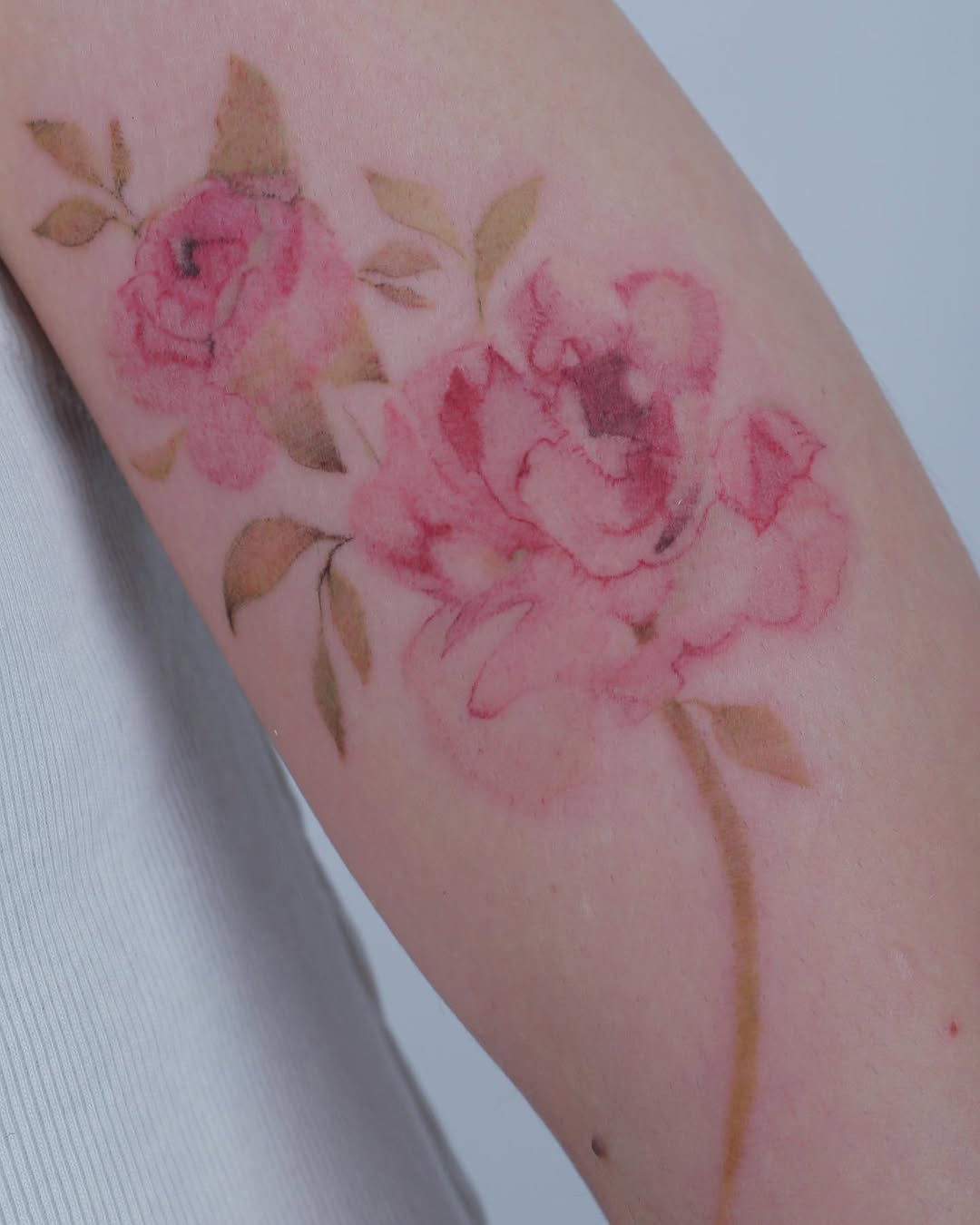Rose, Flower
