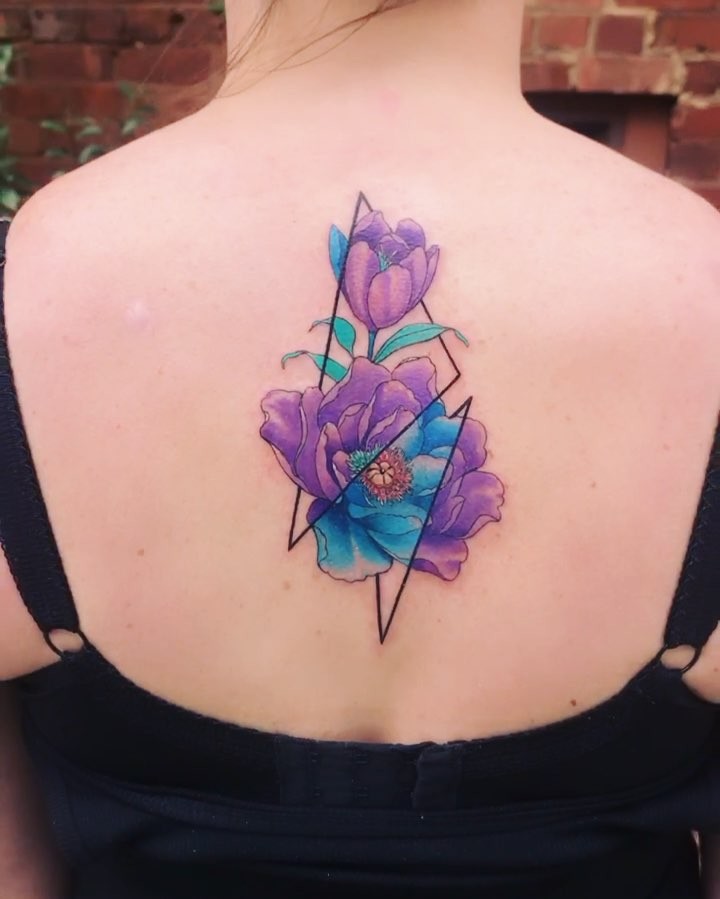 Flower, Rose, Nature