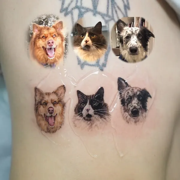 Animal