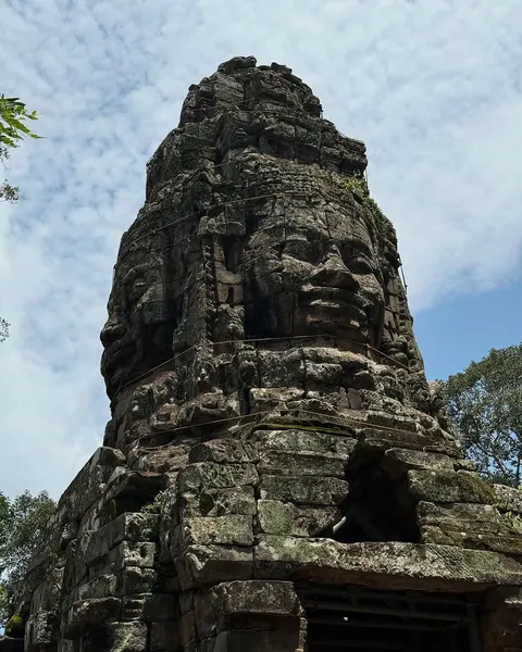 andypho