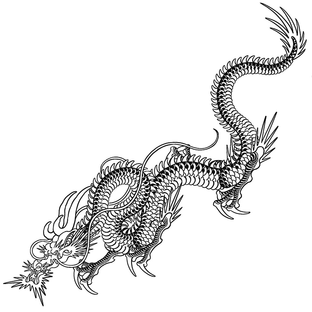 Dragon