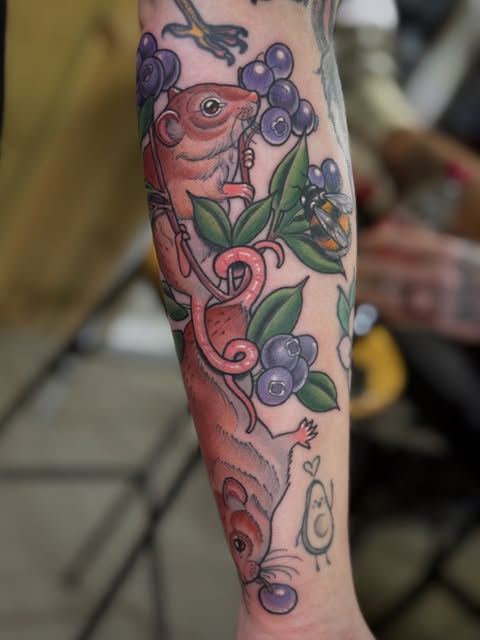 Dragon
