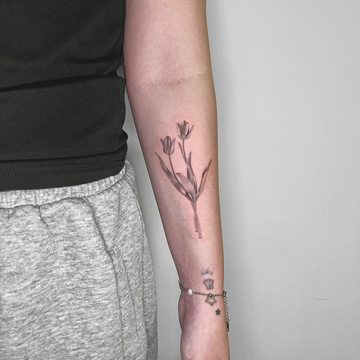 Flower, 튤립, Rose