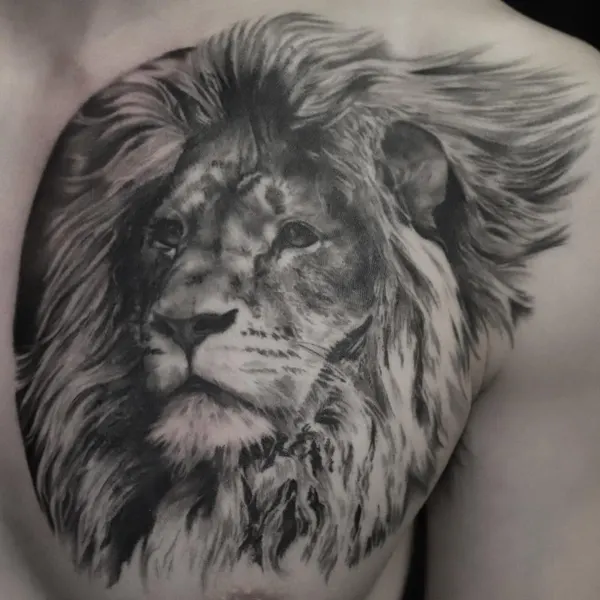 danmcwilliamsart