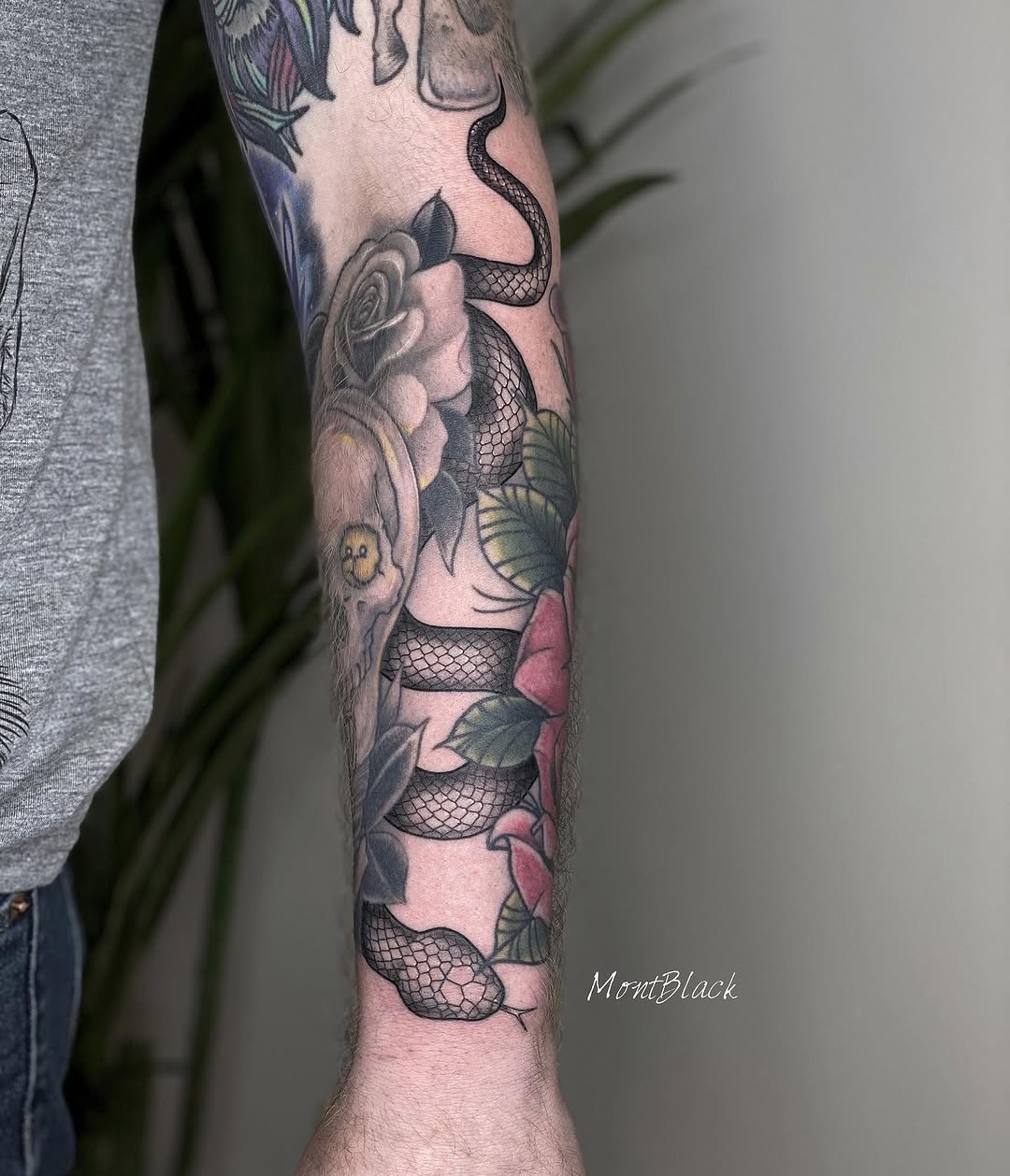 Rose, Flower