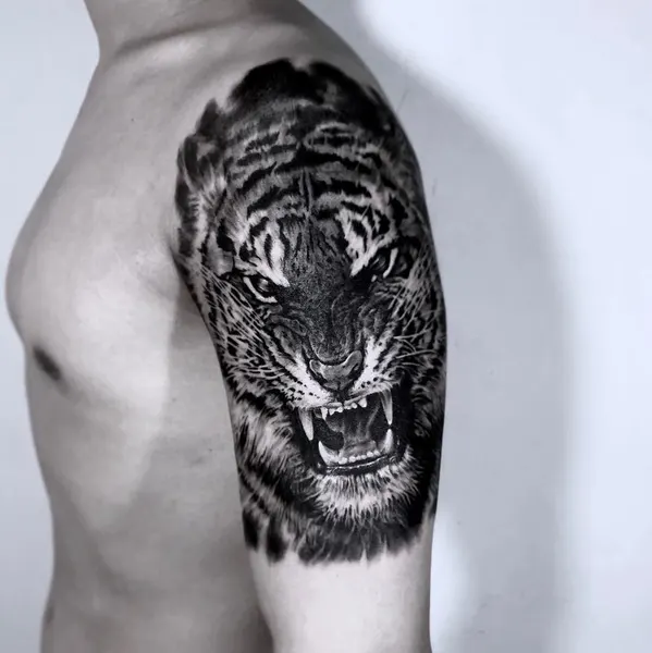 Tiger, 치타