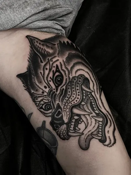 Tiger, Animal