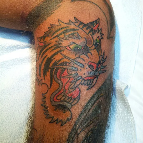 Tiger, Animal