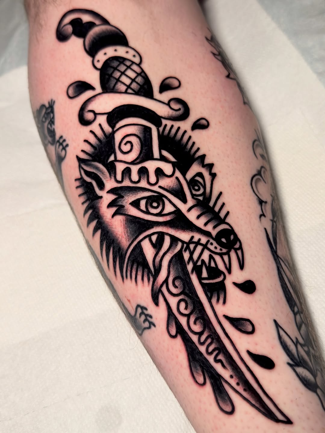 Tiger, Animal