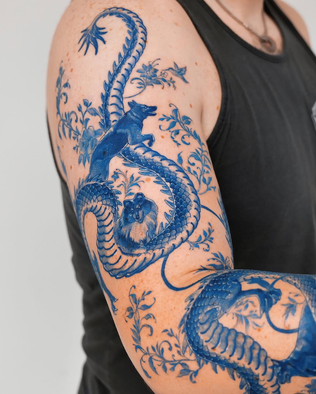 Dragon