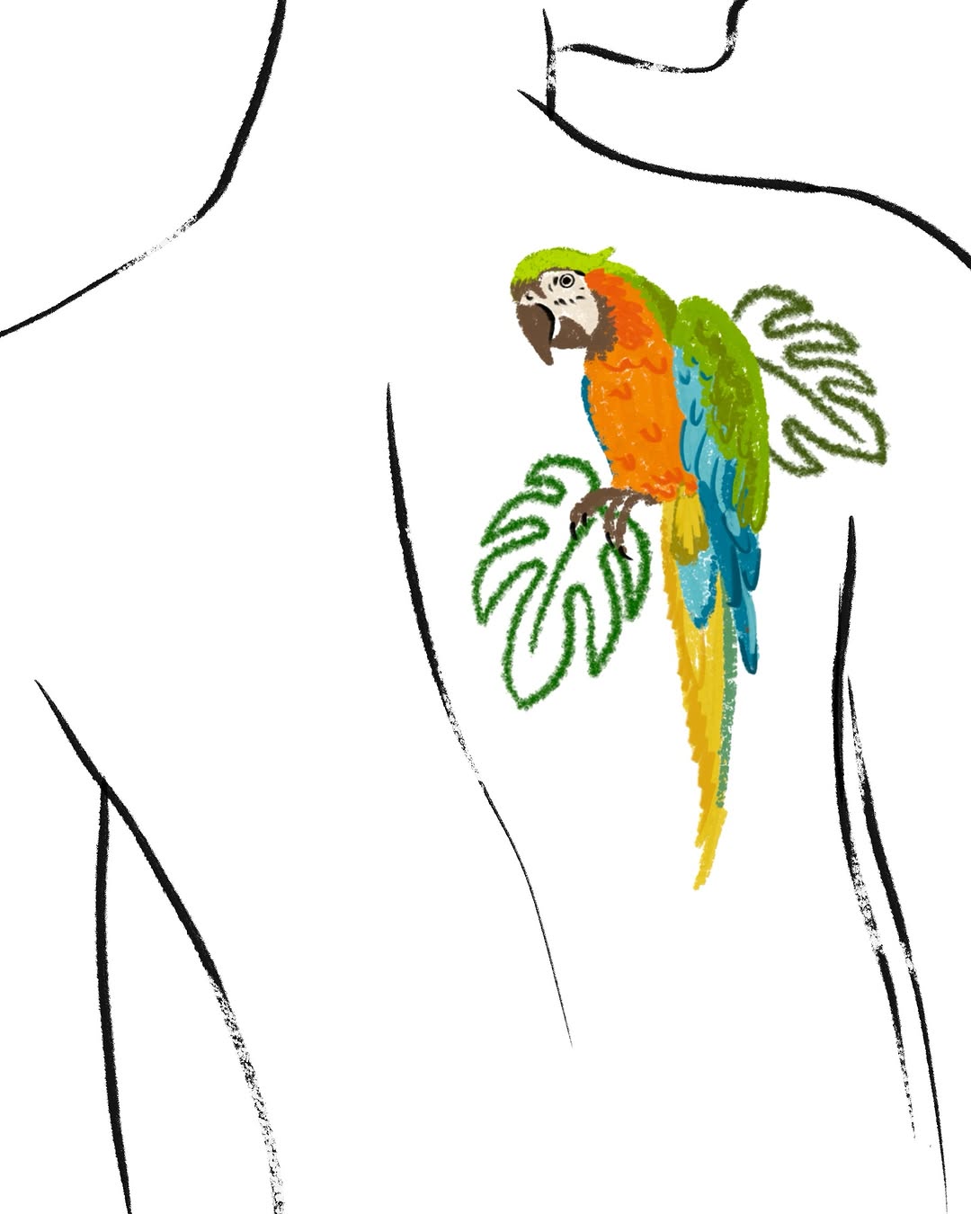 Animal, Nature, 앵무새