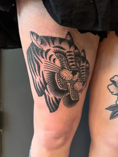 Tiger, Animal