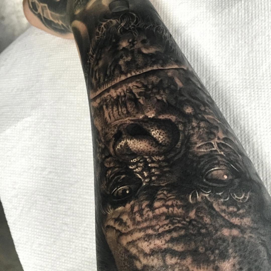 Animal, Dragon