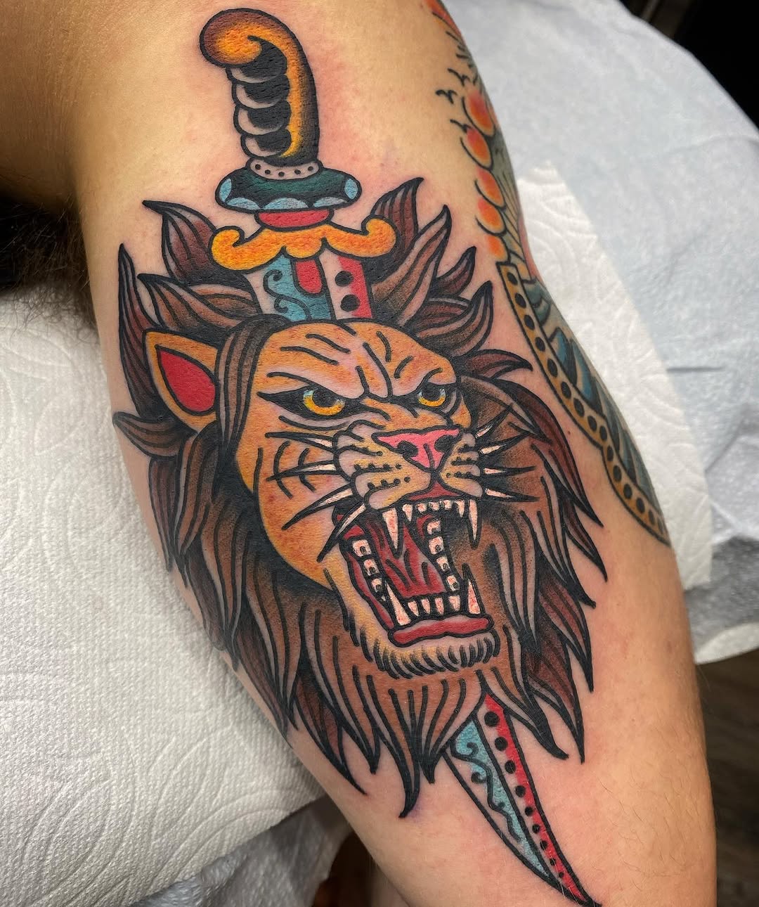 Tiger, Animal