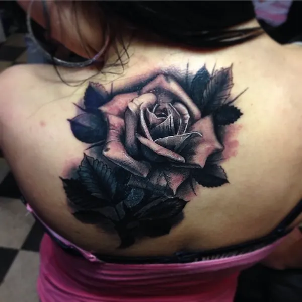 Flower, Rose, Nature