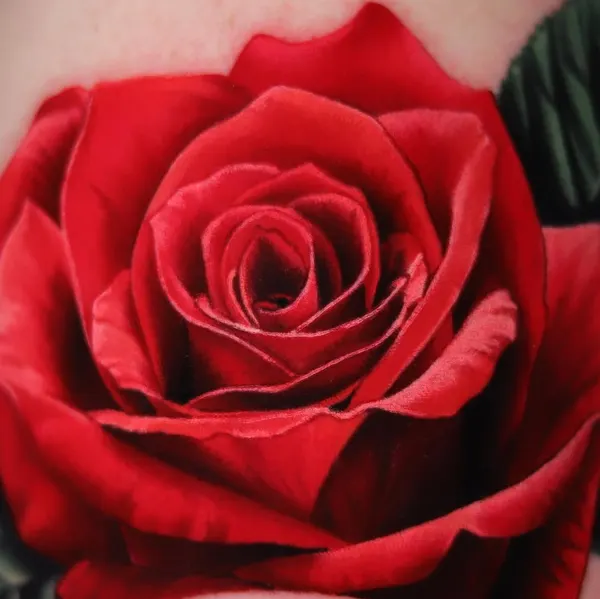 Flower, Rose