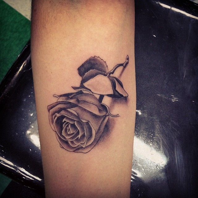 Flower, Rose