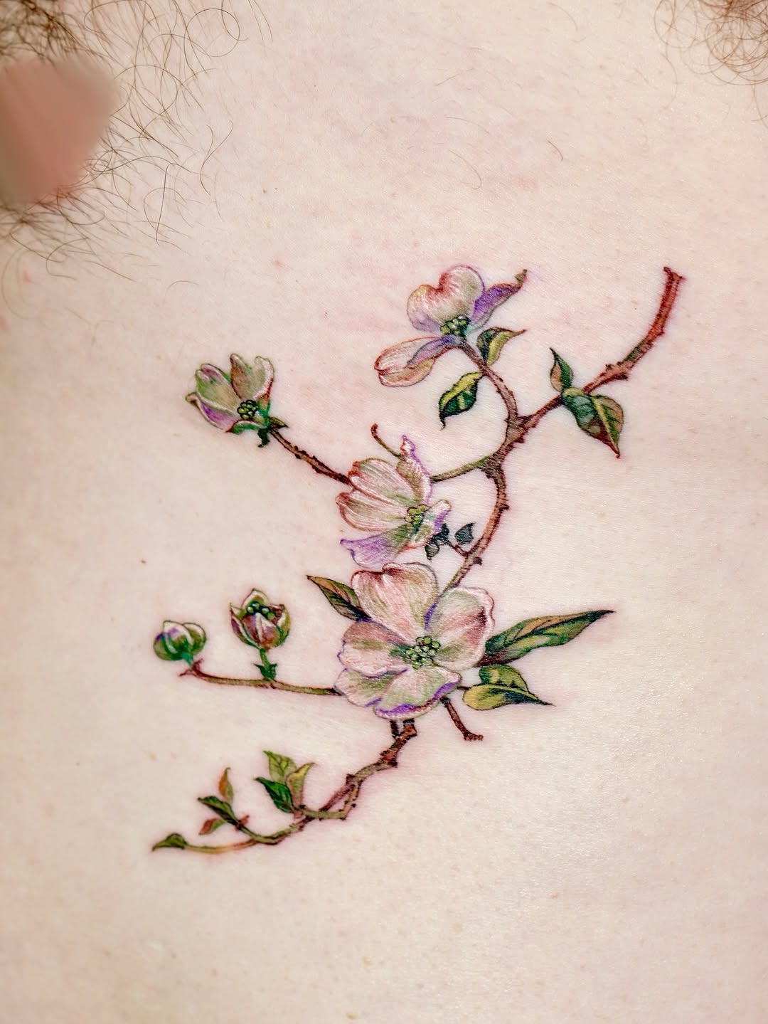 1sle_tattoo