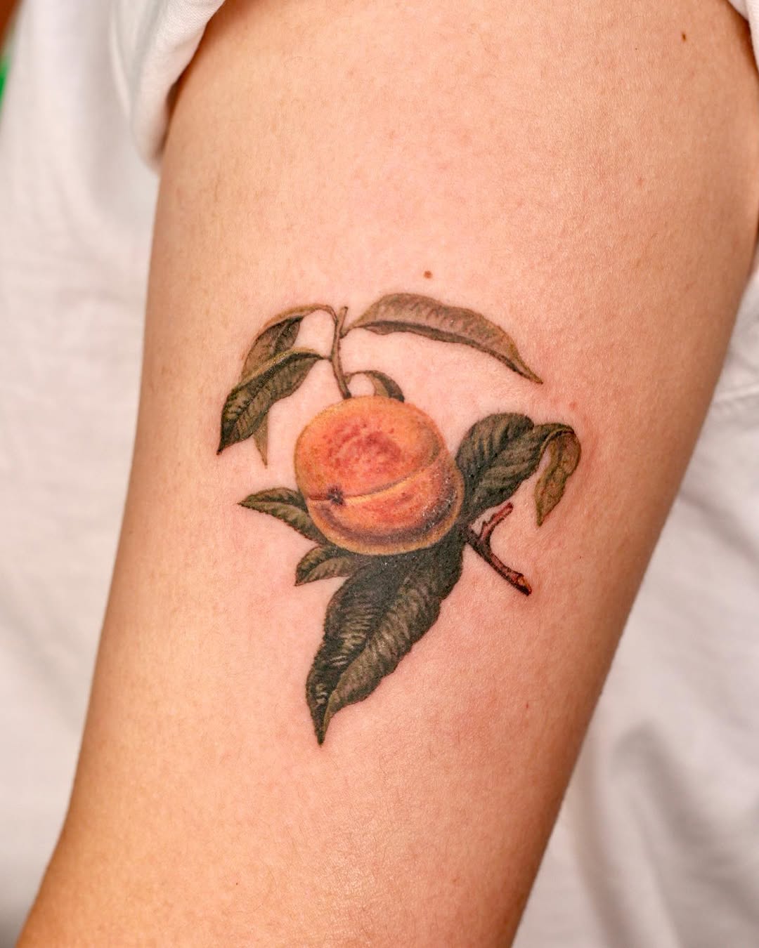 Flower, 과일, 사과, 레몬, 체리